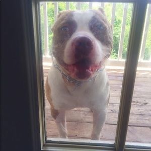 Meet your Posher, Devonta